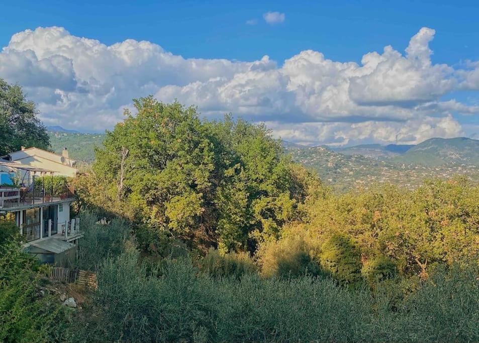 Bas De Villa Au Milieu Des Oliviers. Chateauneuf-Villevieille Esterno foto