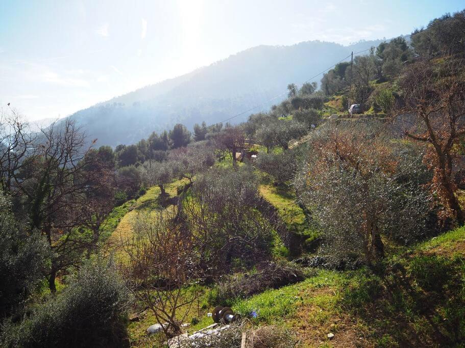 Bas De Villa Au Milieu Des Oliviers. Chateauneuf-Villevieille Esterno foto